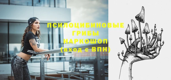 прущие крисы Касимов