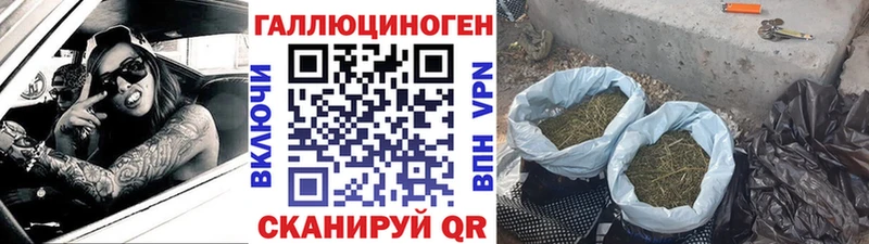 Псилоцибиновые грибы MAGIC MUSHROOMS  Купить закладки  Дубна 